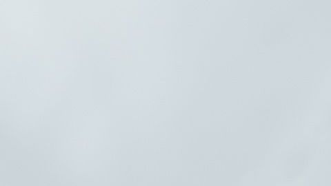 shutterstock_1081692827