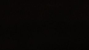 Piden que la industria de porno en EEUU cancele rodajes por el coronavirus.