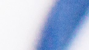 shutterstock_1112521214