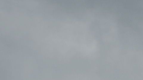 shutterstock_111469742