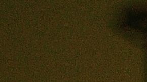 shutterstock_1116698093