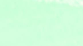 shutterstock_116997403