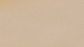 Esta información está circulando en redes sociales, pero no creas todo.