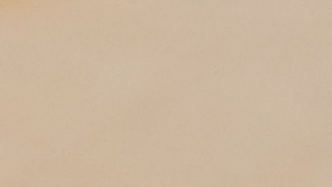 Esta información está circulando en redes sociales, pero no creas todo.