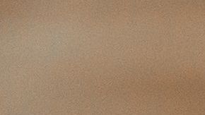 shutterstock_1421114357