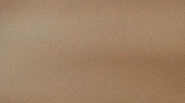 shutterstock_1421114357