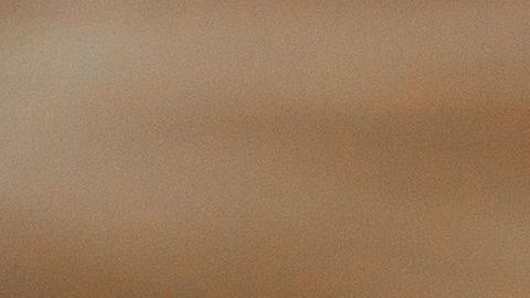 shutterstock_1421114357