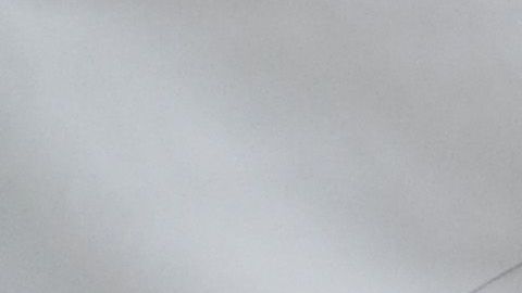 shutterstock_144663938