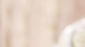 shutterstock_145057501