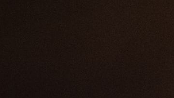 shutterstock_1457200706