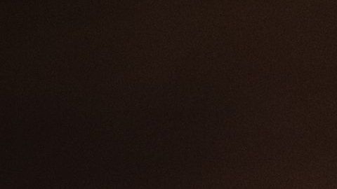 shutterstock_1457200706