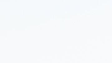 shutterstock_1486826909