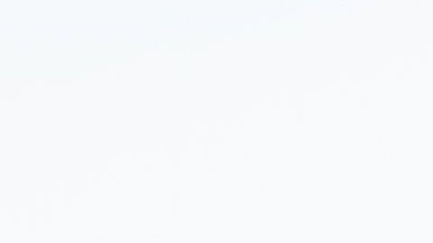 shutterstock_1486826909