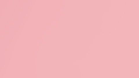 shutterstock_1487103776