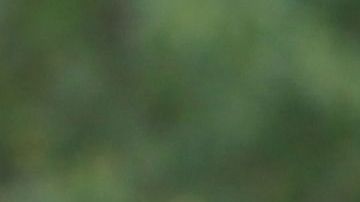 shutterstock_1520586023