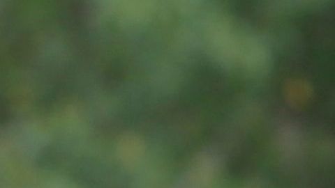 shutterstock_1520586023