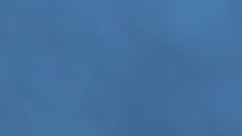 shutterstock_1556159339