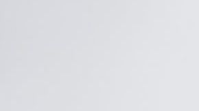 shutterstock_1559962796