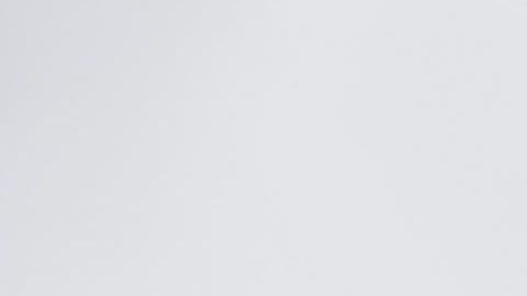 shutterstock_1559962796