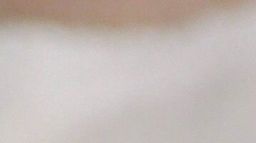 shutterstock_1579352263