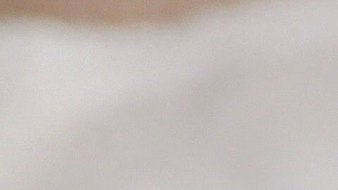 shutterstock_1579352263