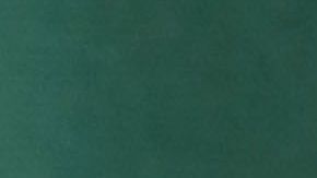 shutterstock_1641252319