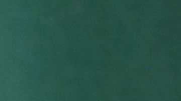 shutterstock_1641252319