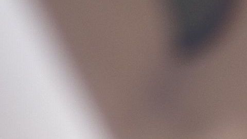 shutterstock_1651465777