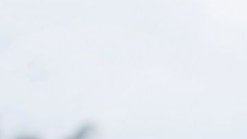 El coronavirus ha cambiado la cercanía en las relaciones.