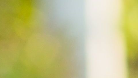 Los alimentos depurativos gozan de grandes propiedades antiinflamatorias y diuréticas.