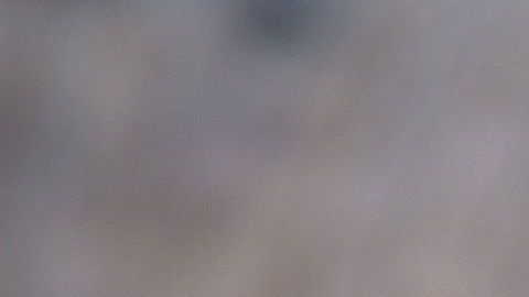 shutterstock_218791378