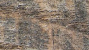 shutterstock_222546226