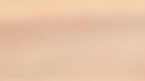 shutterstock_245119171