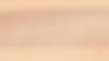 shutterstock_245119171