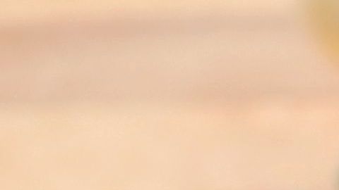 shutterstock_245119171