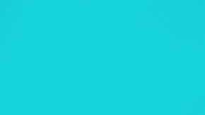 shutterstock_255081931