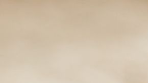 shutterstock_274684553