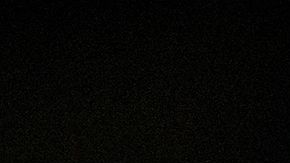 shutterstock_287436329