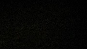 shutterstock_287436329