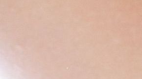 shutterstock_346713038