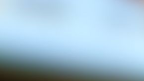 Evita las compras de pánico y realiza compras inteligentes con estos sencillos consejos.