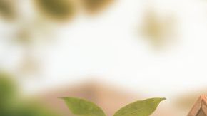 Las tasas de interés están en el momento más bajo en siete años./Shutterstock