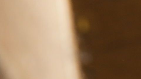 shutterstock_375477457