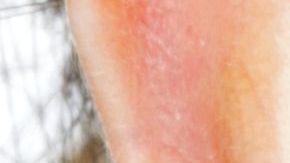 shutterstock_376829452