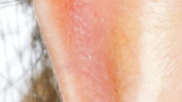 shutterstock_376829452