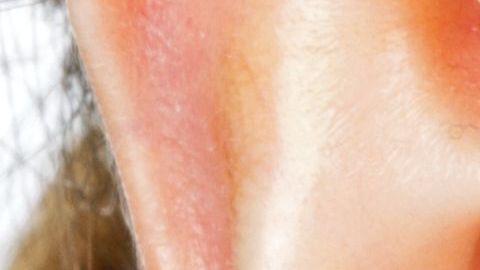 shutterstock_376829452