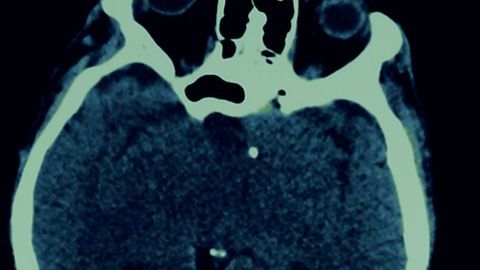 shutterstock_390249514