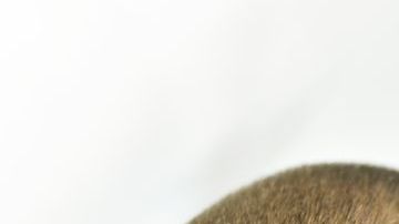 El famoso sitio para adultos está apostando por nuevo contenido