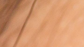 shutterstock_496954453