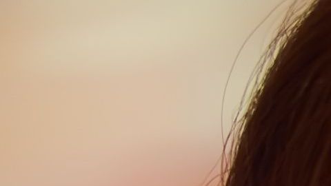 shutterstock_515270254